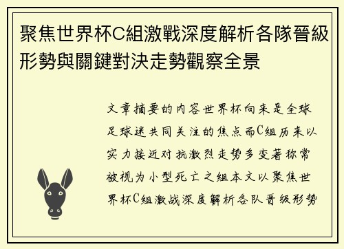 聚焦世界杯C組激戰深度解析各隊晉級形勢與關鍵對決走勢觀察全景